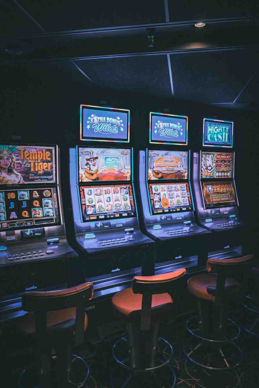 kinbet casino